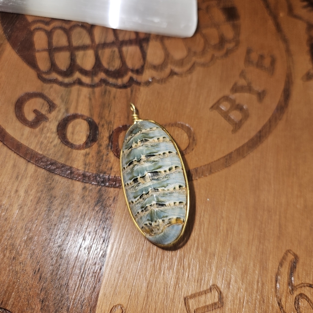 Vintage 90s Handmade Prehistoric Nautilus Shell Pendant
